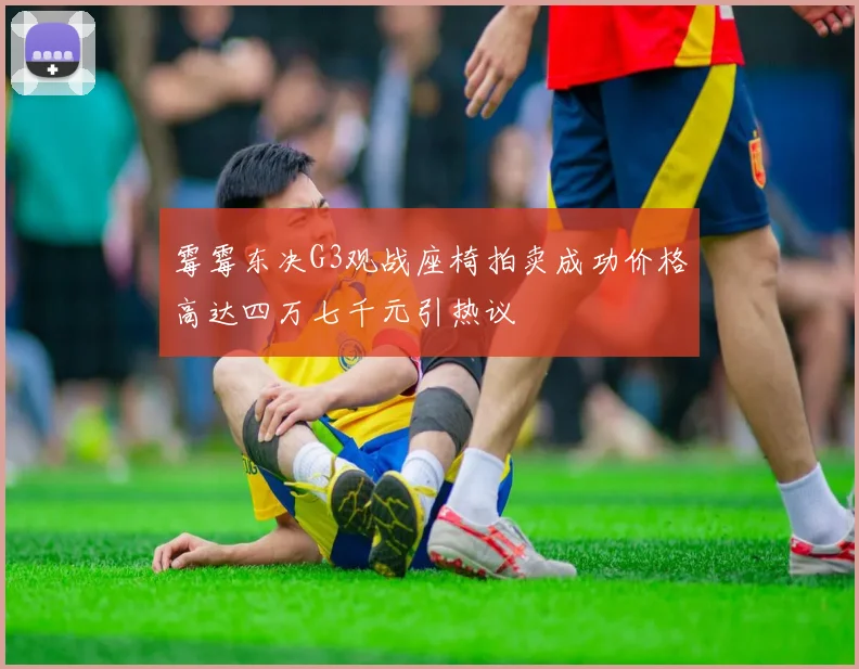 霉霉东决G3观战座椅拍卖成功价格高达四万七千元引热议